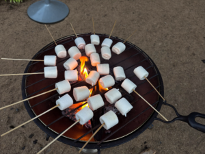 marshmallows-on-a-propane-fire-pit